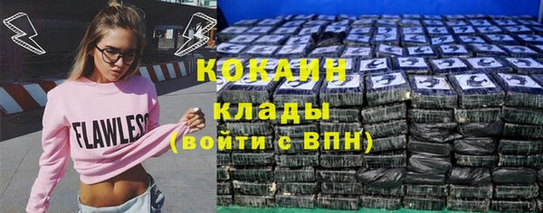 амф Пересвет