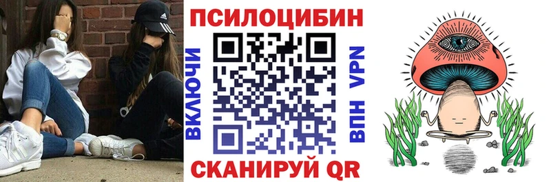 Купить где  Куса  Галлюциногенные грибы Psilocybe 